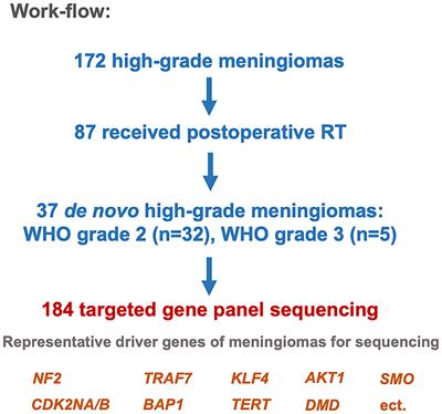 TERT Alterations Predict Tumor Progression in De Novo High-Grade Meningiomas Following Adjuvant Radiotherapy